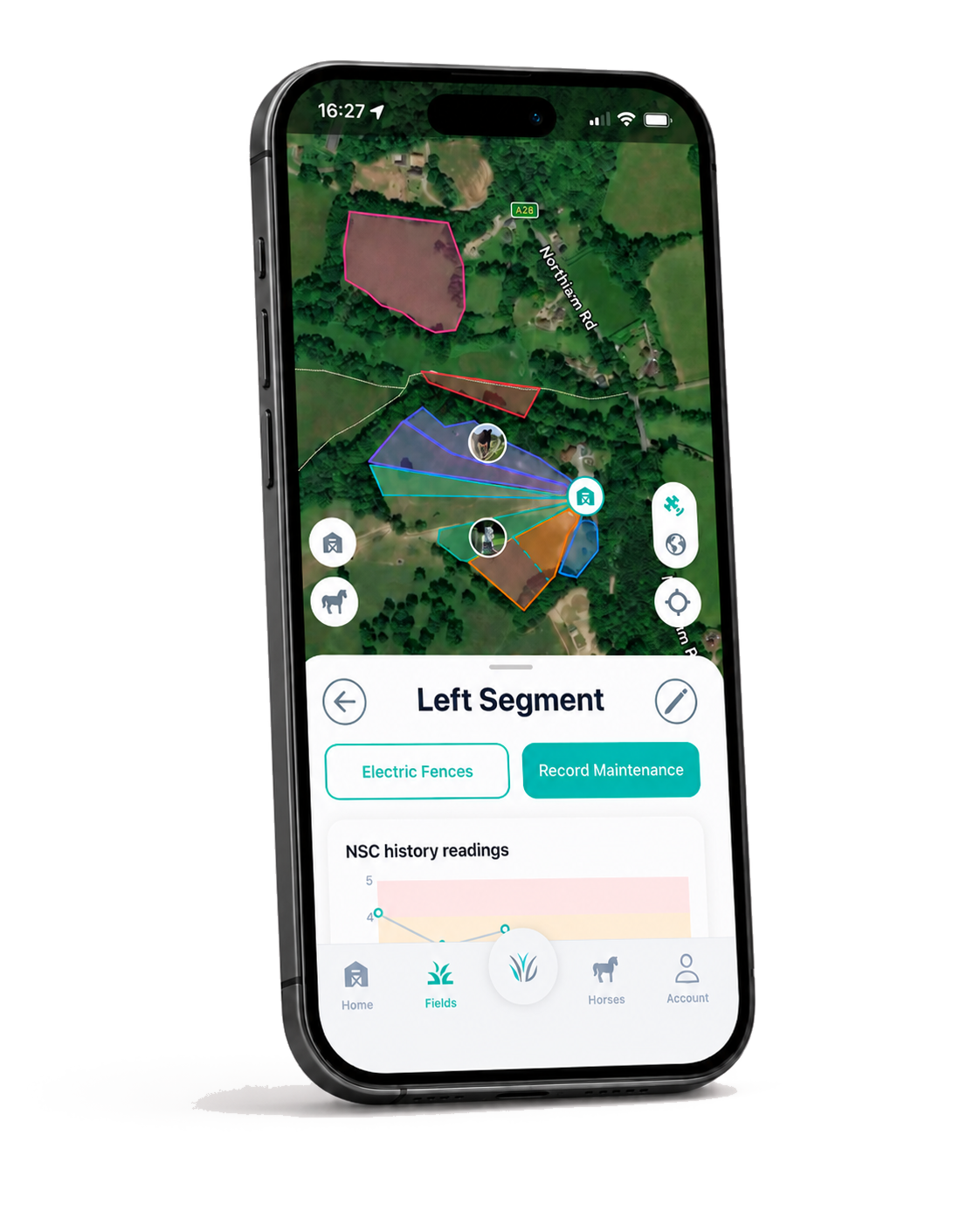 AnFiTest app showing a paddock NSC reading on a phone
